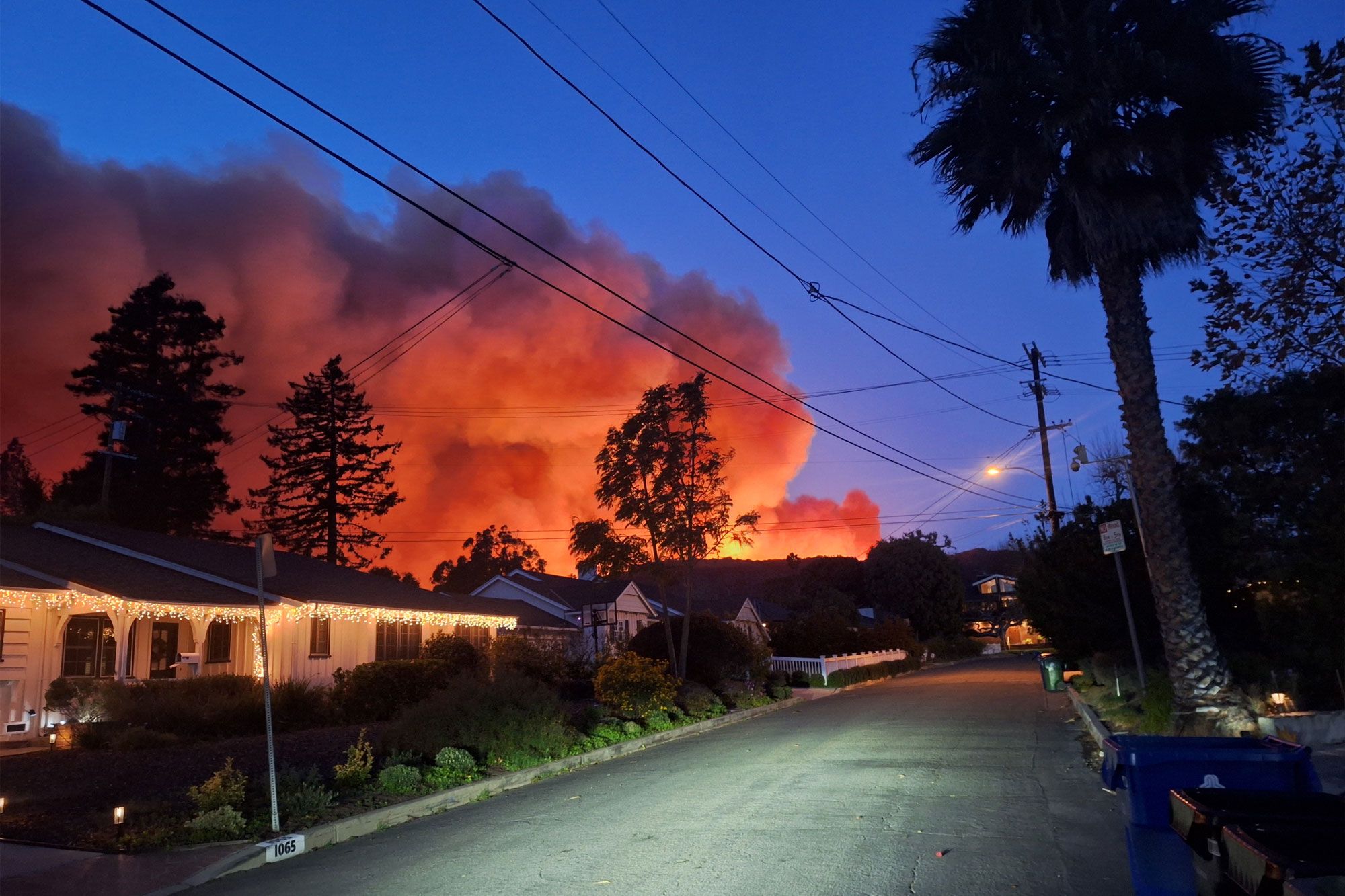 Trash bins emptied during the Palisades Fire